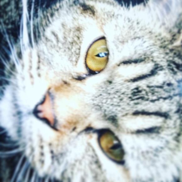 Meet your Posher, Kenta - Picture 1 of 1